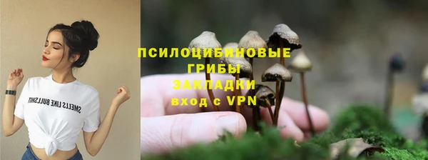 дживик Михайловск