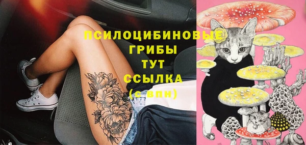дживик Михайловск