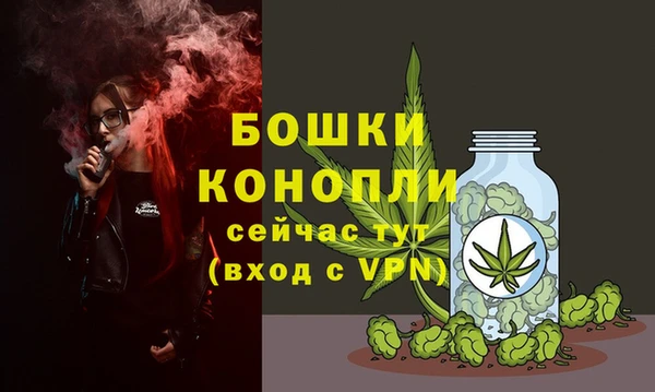 дживик Михайловск