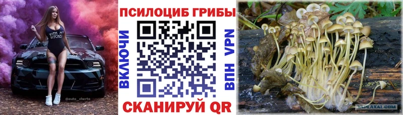 Псилоцибиновые грибы Psilocybine cubensis Белорецк
