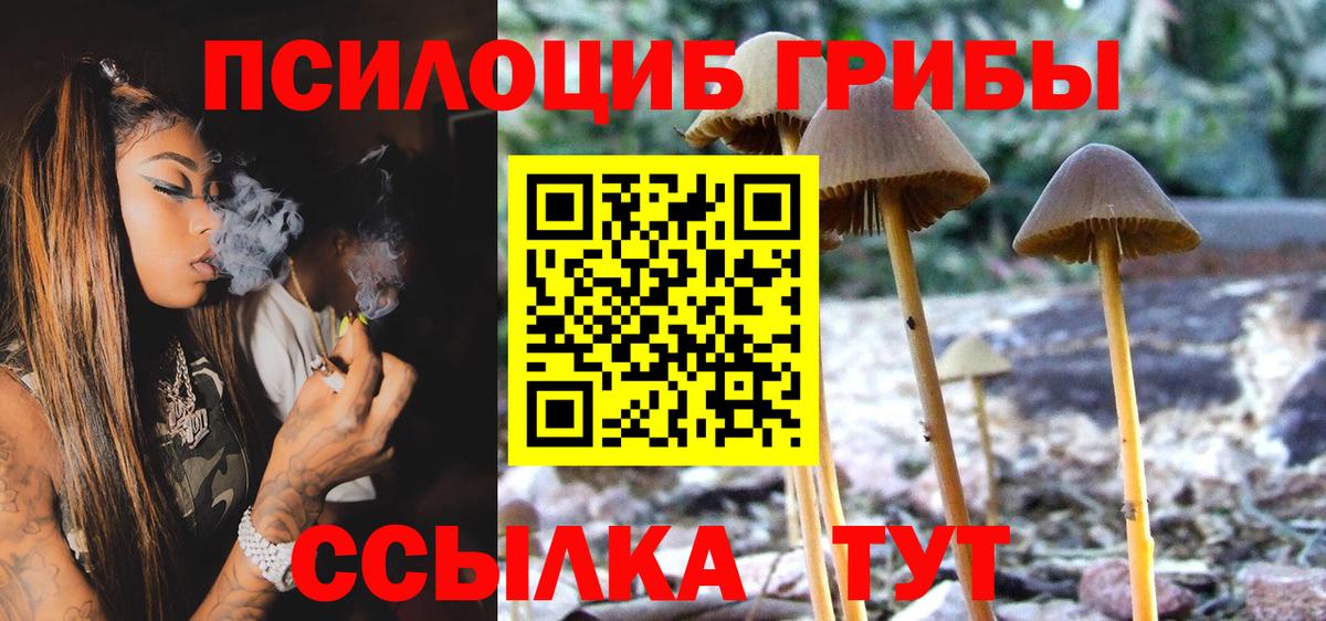 Псилоцибиновые грибы мицелий  Галлюциногенные грибы мухоморы  Белорецк 