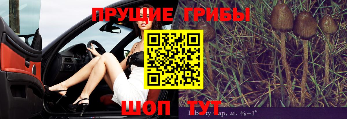 Галлюциногенные грибы мицелий  Вход с VPN  продажа наркотиков  Белорецк  Галлюциногенные грибы Psilocybe 